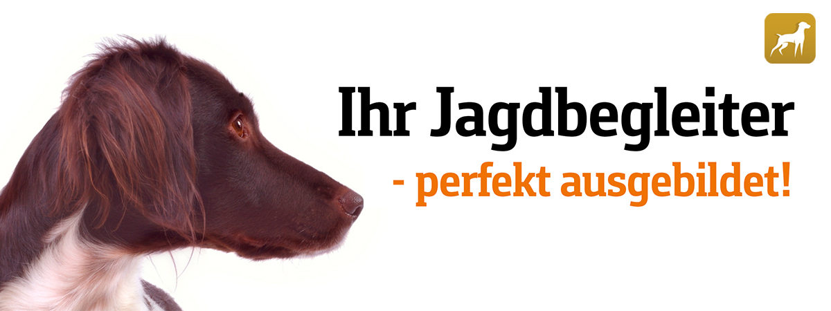 Hunde