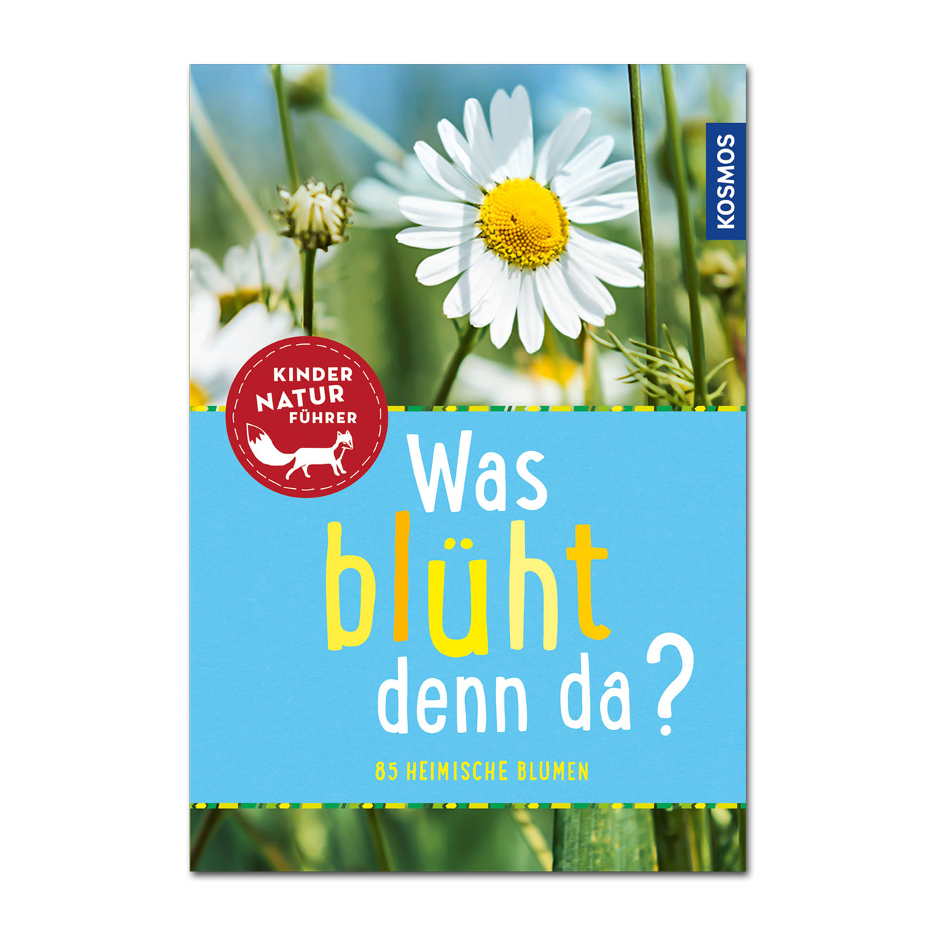 Kinder-Naturführer: Was blüht denn da?