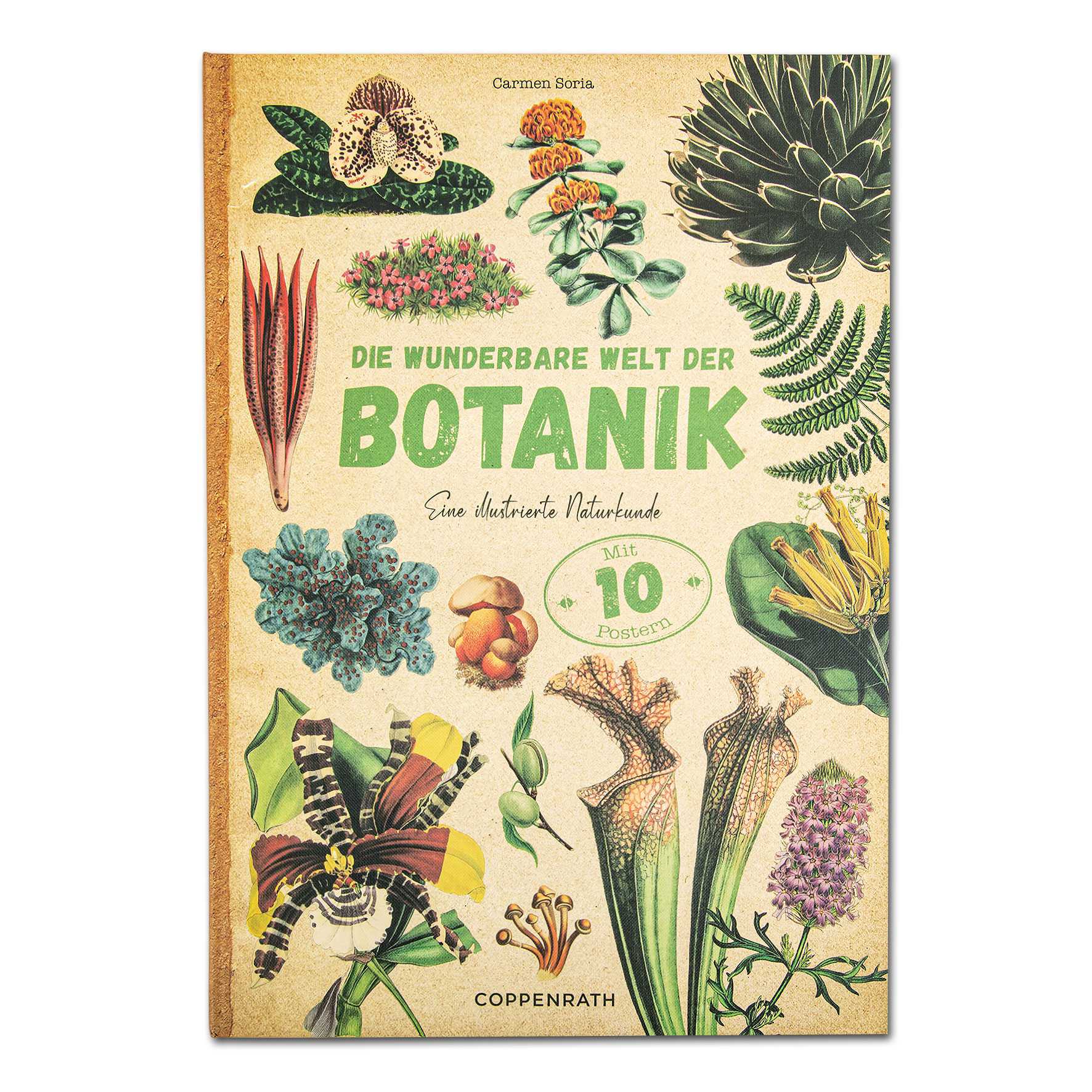 Die wunderbare Welt der Botanik