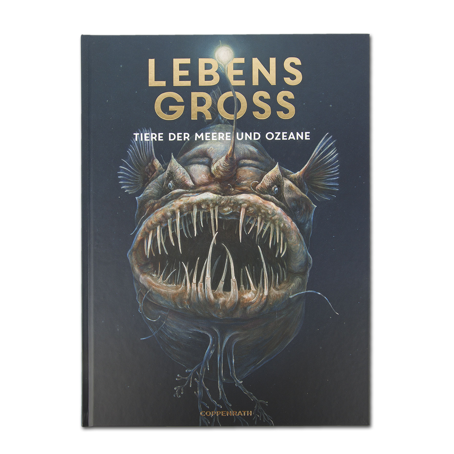 Lebensgroß - Tiere der Meere und Ozeane