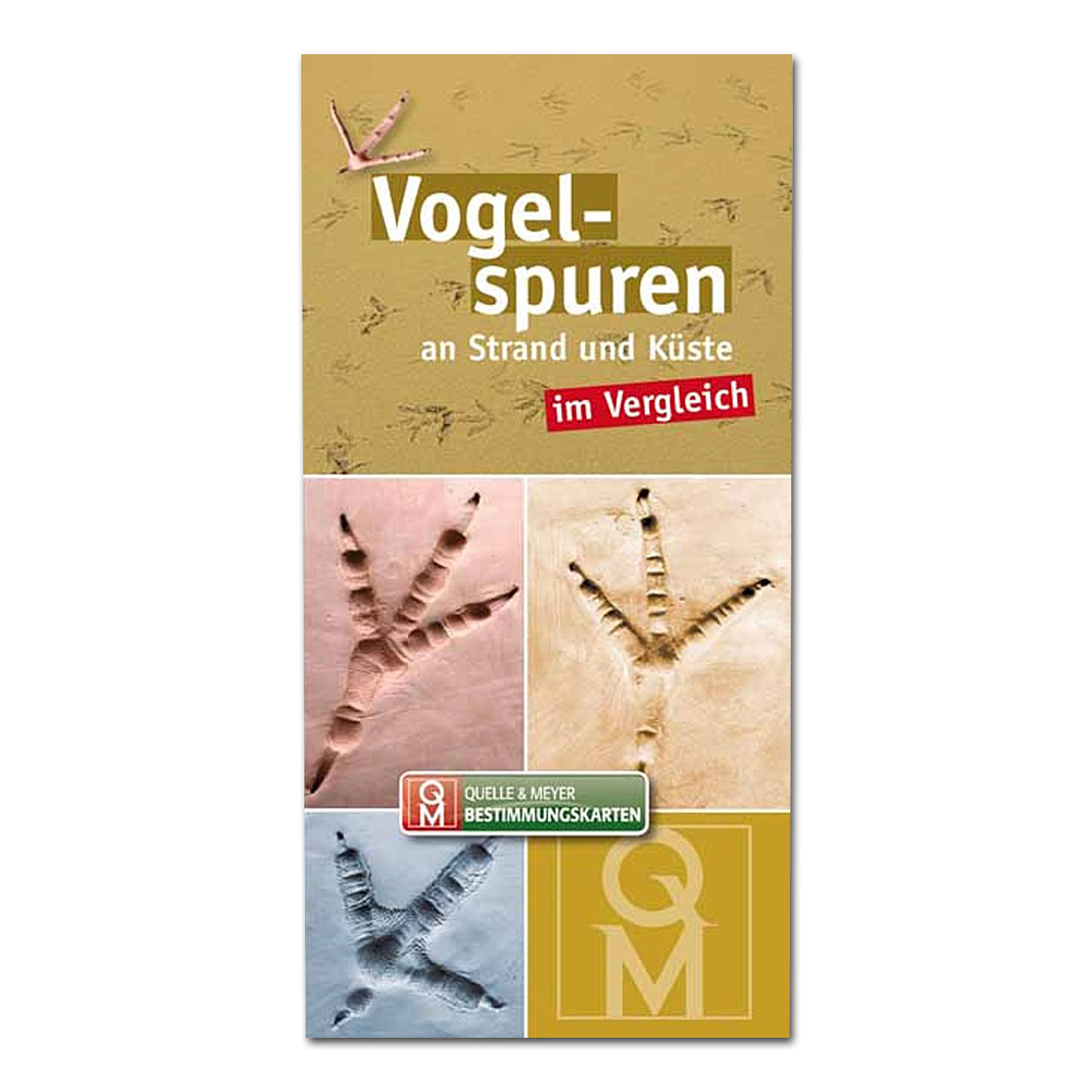 Bestimmungskarte: Vogelspuren an Strand und Küste im Vergleich