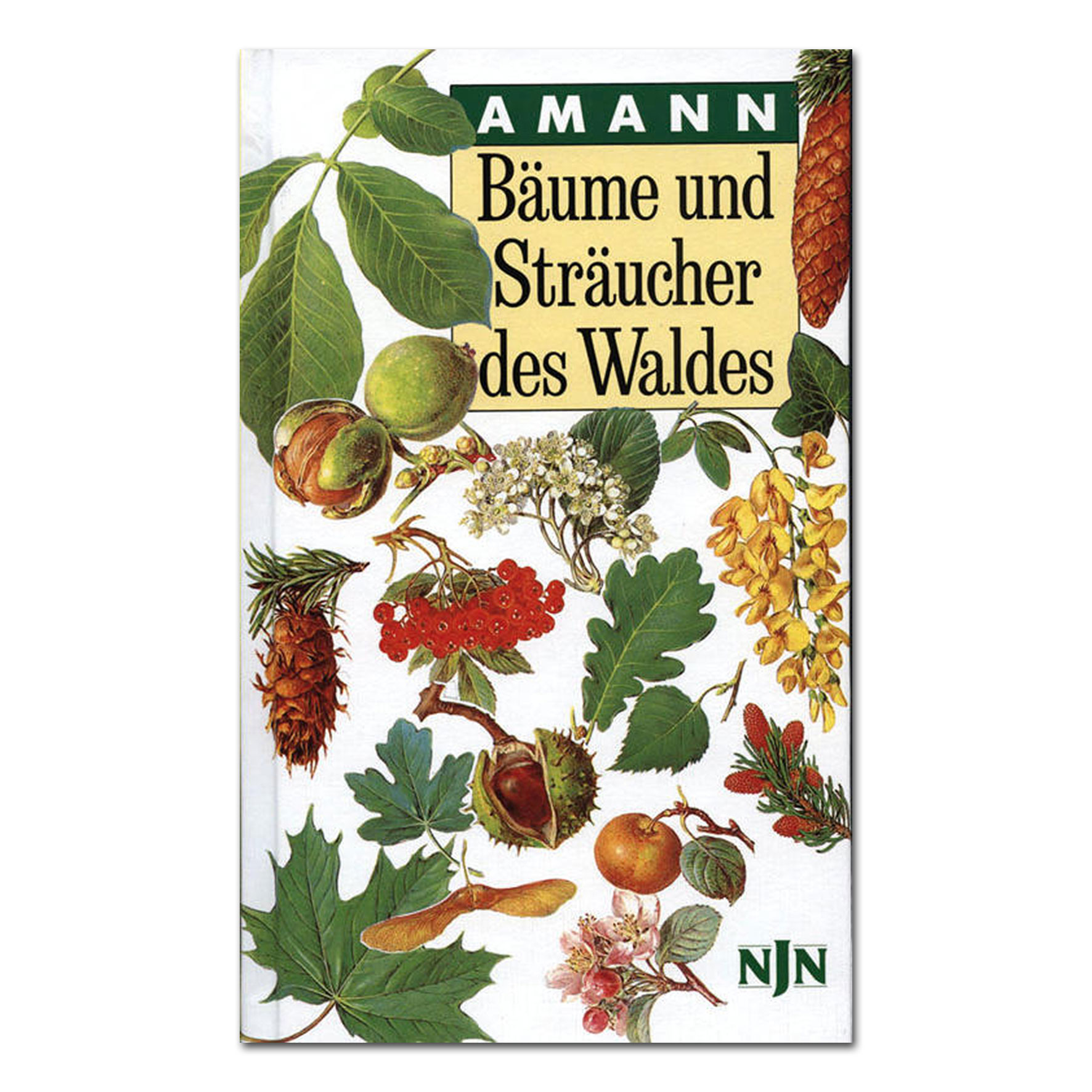Bäume und Sträucher des Waldes