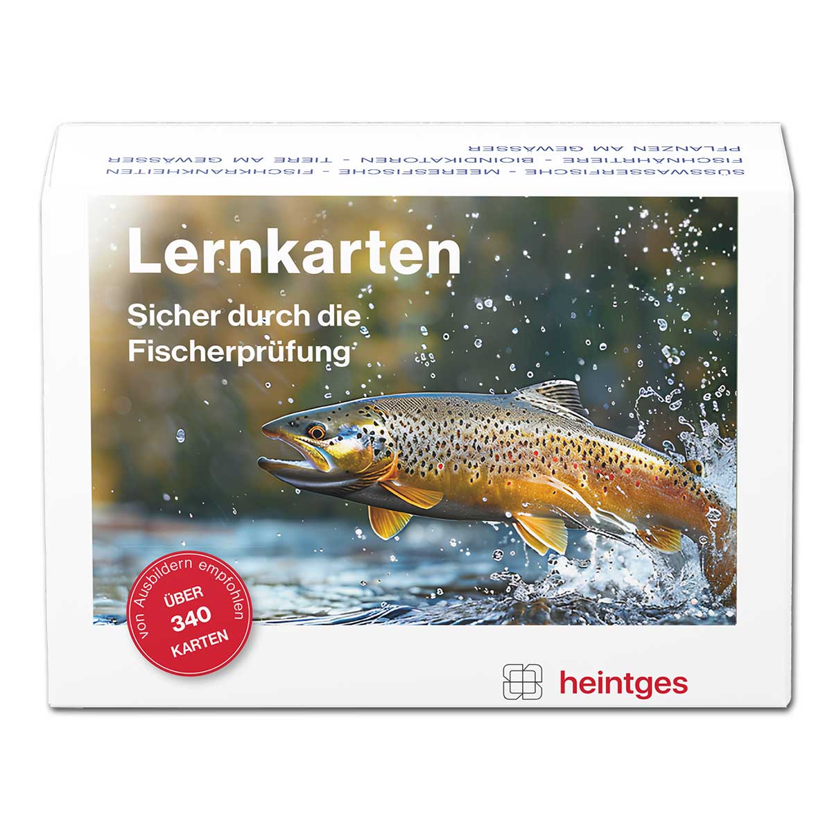 Heintges Lernkarten Sicher durch die Fischerprüfung