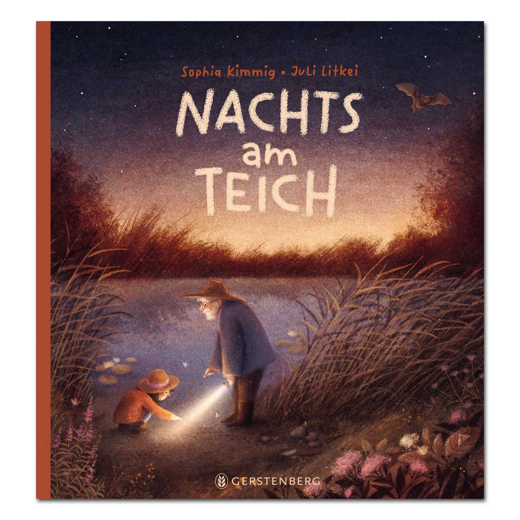Nachts am Teich