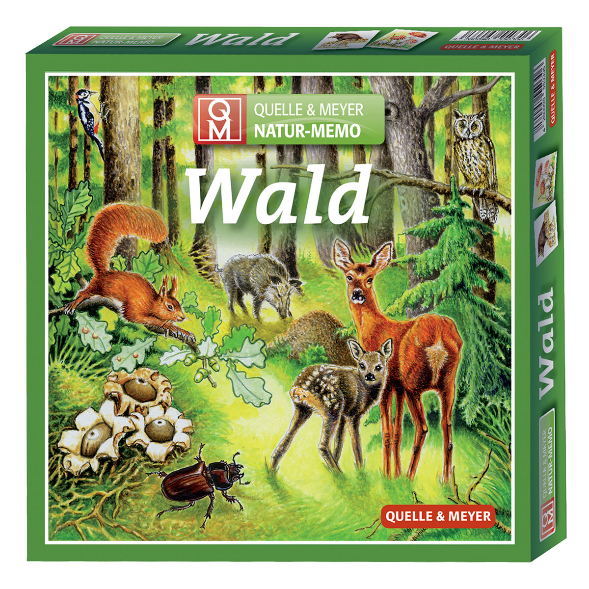 Natur-Memo Wald