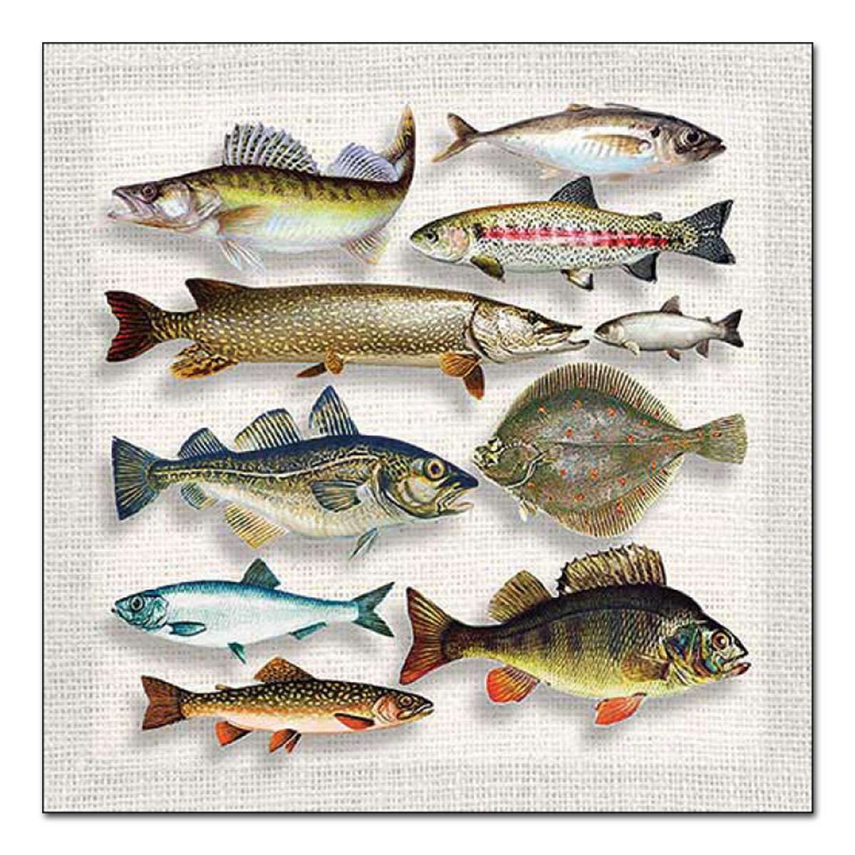 Ambiente Servietten Fisch-Vielfalt