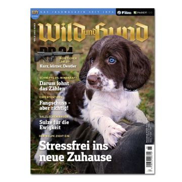 Wild und Hund 2024/06