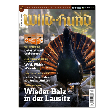Wild und Hund 2024/07