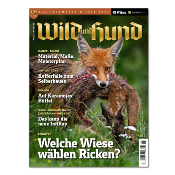 Wild und Hund 2024/08