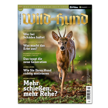 Wild und Hund 2024/09