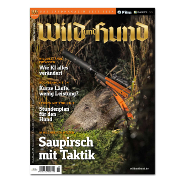 Wild und Hund 2024/10