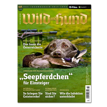 Wild und Hund 2024/11