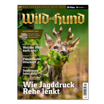 Wild und Hund 2024/12