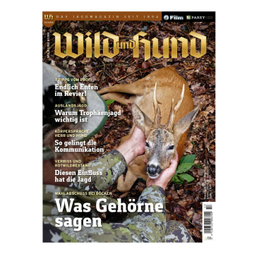 Wild und Hund 2024/13