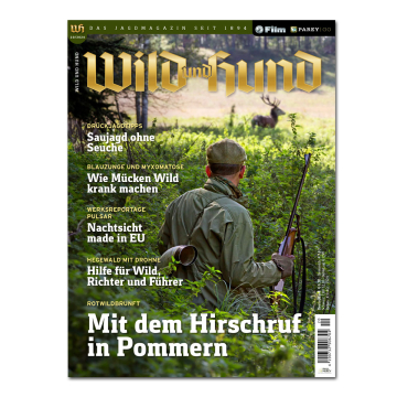 Wild und Hund 2024/20