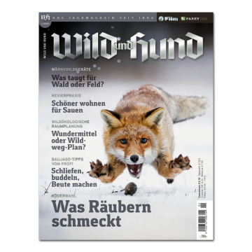 Wild und Hund 2025/01