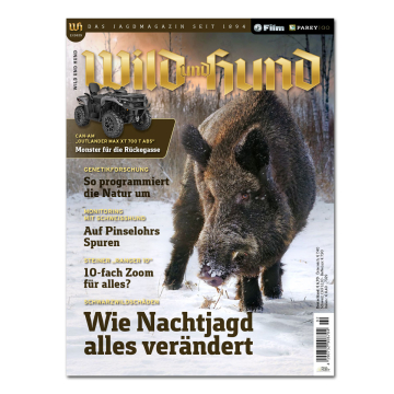 Wild und Hund 2025/02