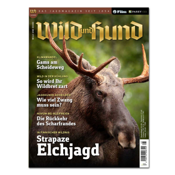 Wild und Hund 2025/05