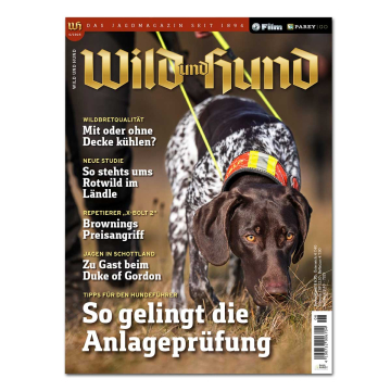 Wild und Hund 2025/06