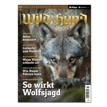 Wild und Hund 2025/07
