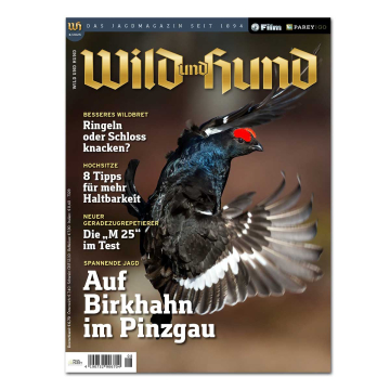 Wild und Hund 2025/08