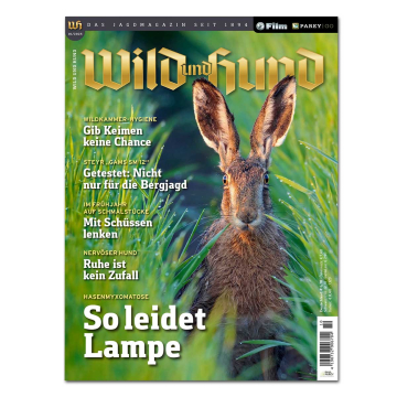 Wild und Hund 2025/10