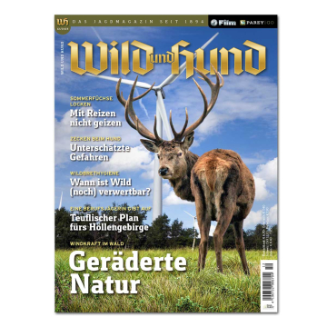 Wild und Hund 2025/12