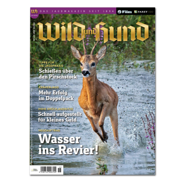 Wild und Hund 2025/15