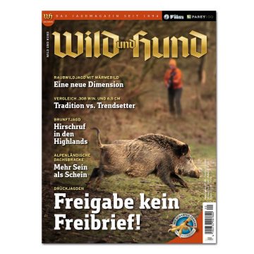 Wild und Hund 2025/20