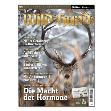 Wild und Hund 2026/02