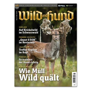 Wild und Hund 2026/05