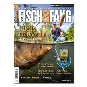 Fisch & Fang 2025/04