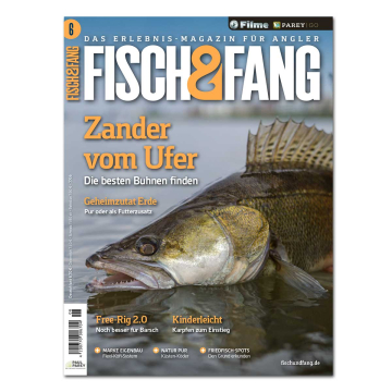 Fisch & Fang 2025/06