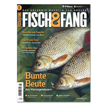 Fisch & Fang 2025/08