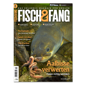 Fisch & Fang 2025/09
