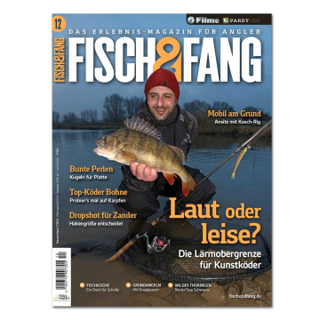 Fisch & Fang 2025/12