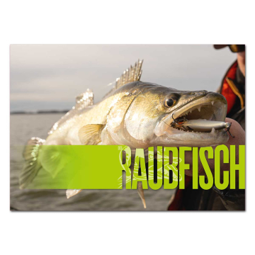 RAUBFISCH Edition: Kalender 2026
