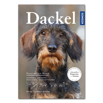 Dackel