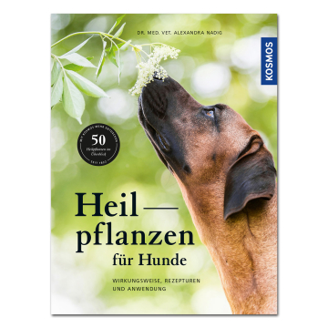 Heilpflanzen für Hunde