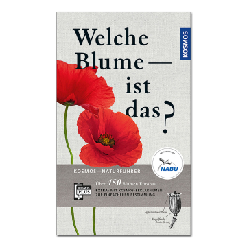 Welche Blume ist das?