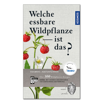 Welche essbare Wildpflanze ist das?