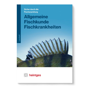 Heintges Lernheft Sicher durch die Fischerprüfung