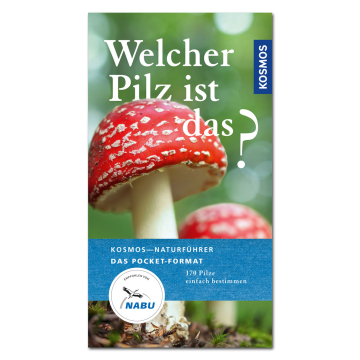 Welcher Pilz ist das? (Pocket-Format)
