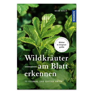 Wildkräuter - am Blatt erkennen