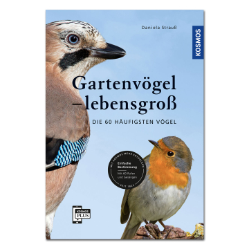Gartenvögel lebensgroß