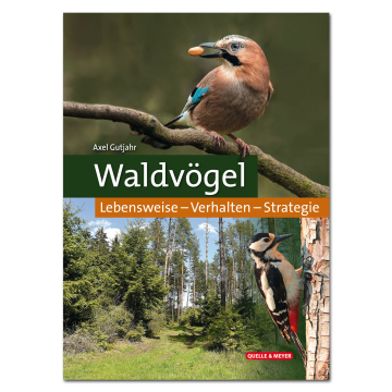 Waldvögel