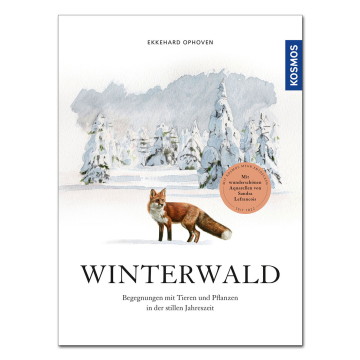 Winterwald