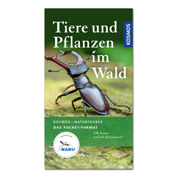 Tiere und Pflanzen im Wald