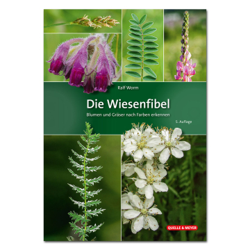 Die Wiesenfibel