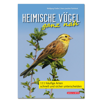 Heimische Vögel ganz nah